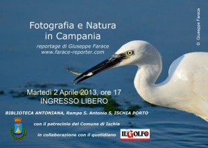 Alla Biblioteca Antoniana di Ischia "Fotografia e Natura in Campania"