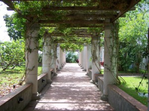 A Villa Arbusto a Lacco Ameno d'Ischia il festival dell'Integrazione