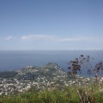 falanga-2011