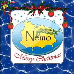 Ad Ischia il Natale con l'Associazione Nemo per la diffusione della cultura del mare