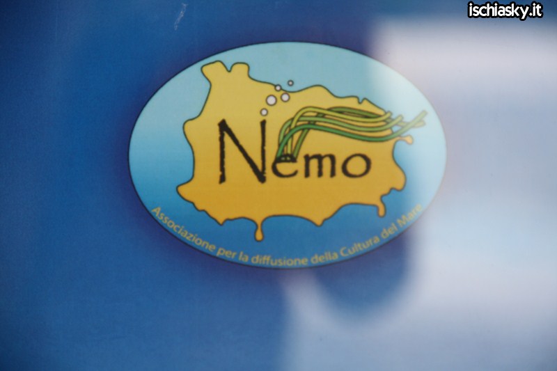 A lezione da Nemo a Sant'Angelo
