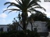 villa-arbusto-5