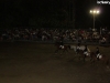 esibizione-equestre-11