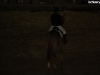 esibizione-equestre-14