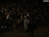esibizione-equestre-46