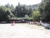 punto-di-raccolta-8