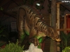 dinosauri-all-ingresso-9