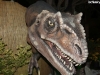 dinosauri-all-ingresso