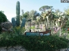 piante-grasse-nel-verde