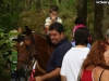 a-cavallo