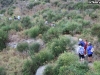 camminando-verso-i-boschi-2