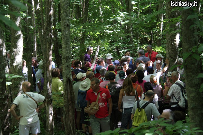 Il 15 agosto nei boschi della Falanga 2011