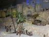 dettaglio-presepe-2