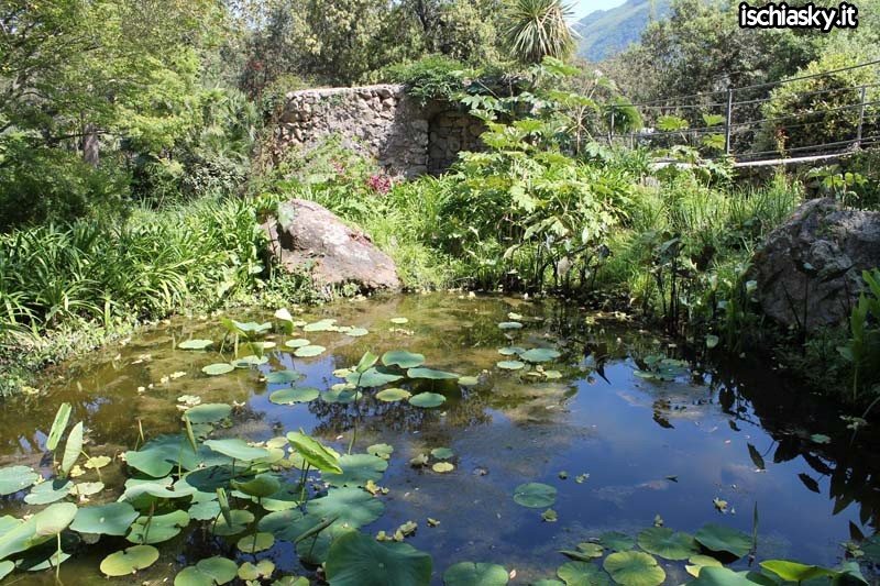 I Giardini La Mortella a Forio d'Ischia