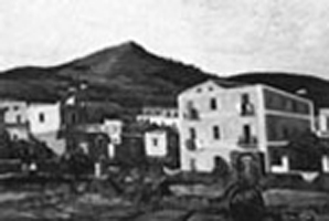 Eduardo Colucci