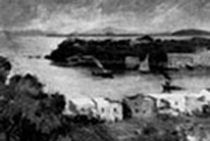 Federico Variopinto