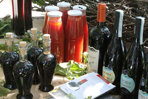 Gastronomia e Vini Ischitani