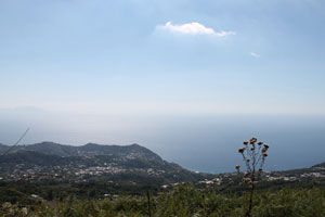 Belvedere
