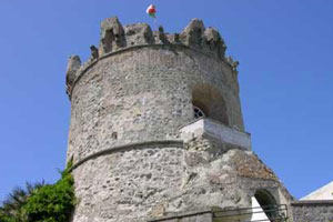 Torri