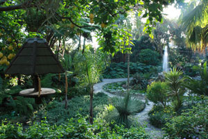 Giardini botanici