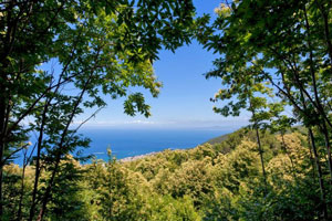 Piana di Buceto