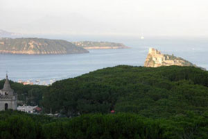 Pineta di Fiaiano