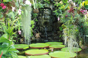 Kausikan Rajeshkumar ai Giardini La Mortella di Forio d'Ischia